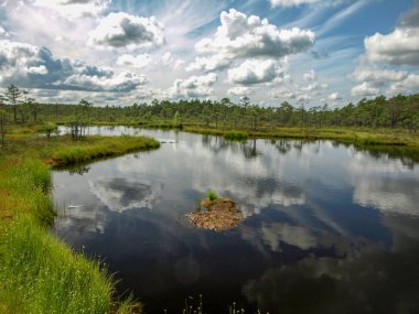 beyaz bulutlar ve güzel yansımaları ile bataklık renkli görünümü, Letonya