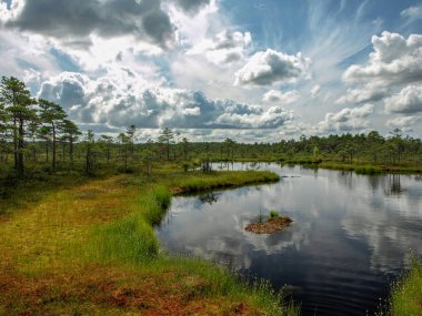 beyaz bulutlar ve güzel yansımaları ile bataklık renkli görünümü, Letonya