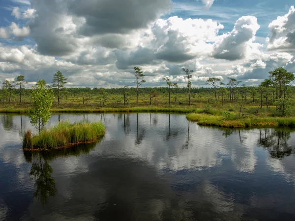 Colorful View Bog White Clouds Beautiful Reflections Latvia — Stock Photo, Image