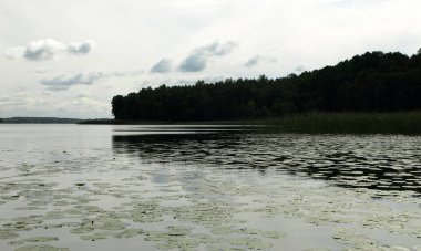 güzel bulutlar ile göl görünümü. güneşli yaz günü, Lielezers, Letonya