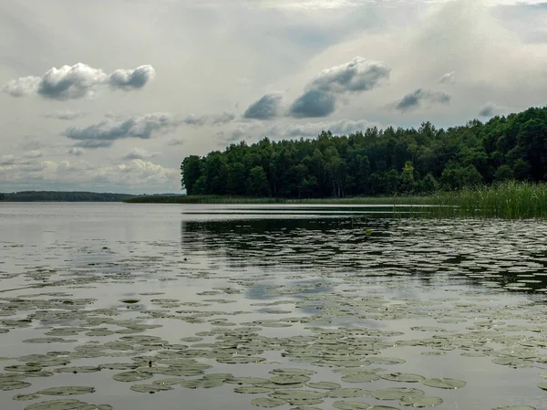 Vue Sur Lac Avec Beaux Nuages Journée Ensoleillée Été Lielezers — Photo