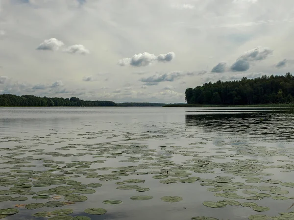 Utsikt Över Sjön Med Vackra Moln Solig Sommardag Lielezers Lettland — Stockfoto