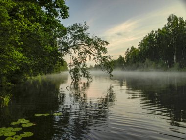 gölde sabahın erken saatlerinde, su, sis, bir ayna olarak su gökyüzünün güzel yansımaları