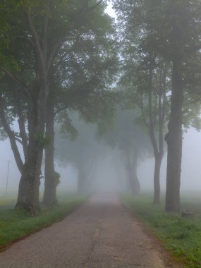 sabahın erken saatlerinde sis bölgeyi kapladı