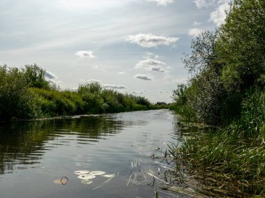 Burtnieki Gölü'ne akan Seda Nehri ile güzel manzara. Güzel güneşli yaz günü, Letonya