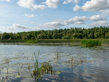 Burtnieki Gölü'ne akan Seda Nehri ile güzel manzara. Güzel güneşli yaz günü, Letonya