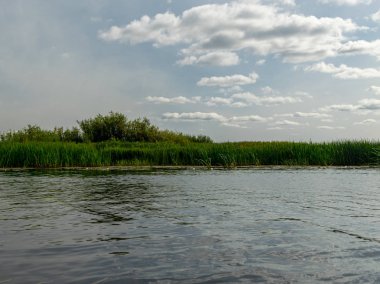 Burtnieki Gölü'ne akan Seda Nehri ile manzara. Güzel güneşli yaz günü, Letonya