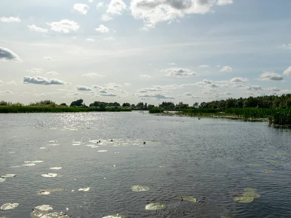 Paysage Avec Rivière Seda Qui Jette Dans Lac Burtnieki Belle — Photo