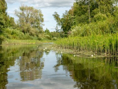 Burtnieki Gölü'ne akan Seda Nehri ile manzara. Güzel güneşli yaz günü, Letonya