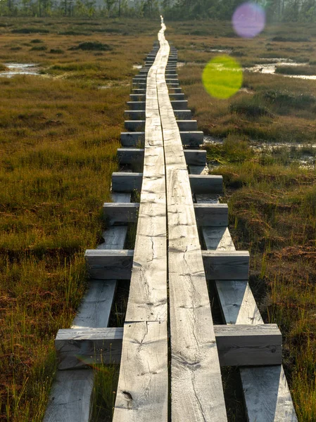 Schöne Aussicht Mit Holzsteg Abendsonne Nigula Moor Estland — Stockfoto