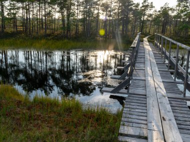 ahşap yaya köprüsü, akşam güneş ışığı, Nigula bataklık, Estonya ile güzel görünümü