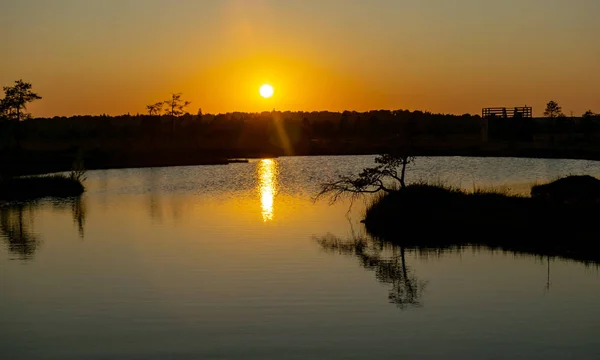 Болотный Пейзаж Время Захода Солнца Красивые Цвета Болотные Озера Острова — стоковое фото