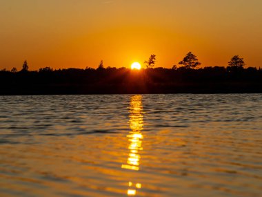 bataklık manzara, gün batımı zamanı, güzel renkler, bataklık gölleri, adalar ve ağaç siluetleri, Nigula bataklık, Estonya