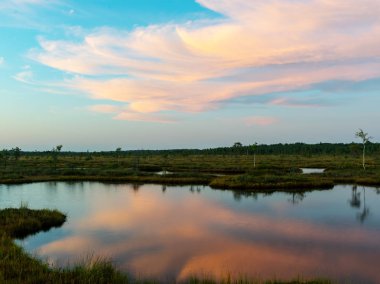 bataklık manzara, gün batımı zamanı, güzel renkler, bataklık gölleri, adalar ve ağaç siluetleri, Nigula bataklık, Estonya