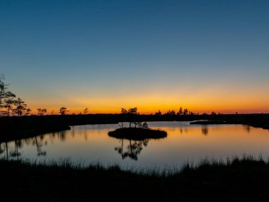 bataklık manzara, gün batımı zamanı, güzel renkler, bataklık gölleri, adalar ve ağaç siluetleri, Nigula bataklık, Estonya