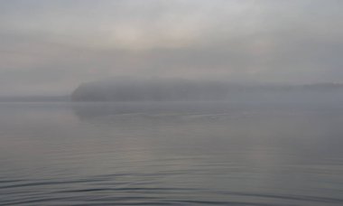 Augstroze Lielezers gölünün bulanık arka planı ön planda kalın ağaçlar ve uzakta sis, Letonya