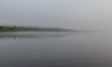 Augstroze Lielezers gölünün bulanık arka planı ön planda kalın ağaçlar ve uzakta sis, Letonya