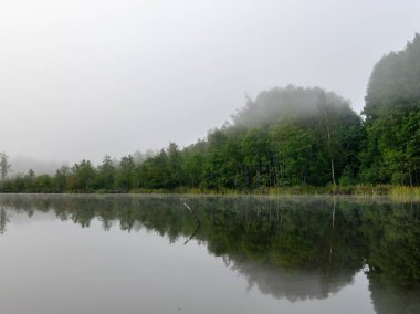 Augstroze Lielezers gölünün bulanık arka planı ön planda kalın ağaçlar ve uzakta sis, Letonya
