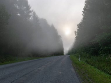 sis manzara, bulanık kontür, sis, ağaç silueti, bulanık yol hatları ile parlayan güneş