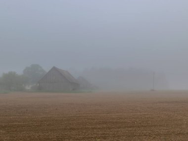 sis manzara, bulanık kontür, sis, ağaç silueti, bulanık yol hatları ile parlayan güneş