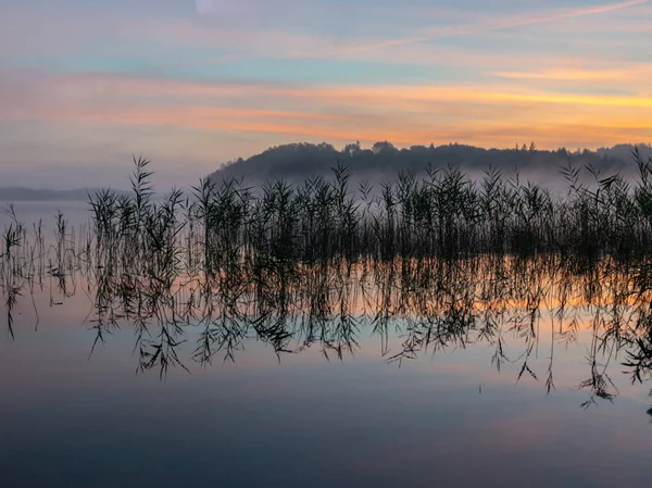 Der Blaurote Hintergrund Des Augstroze Lielezers Lake Mit Dicken Bäumen — Stockfoto