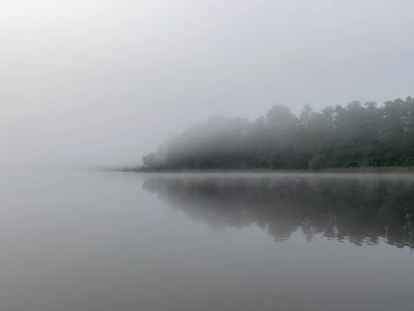 Zblouznění Jezera Augstroze Lielezers Silnými Stromy Popředí Mlhou Dálce Lotyšsku — Stock fotografie