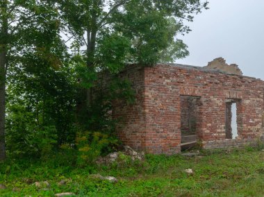 eski ev kalıntıları, sis manzara, sis göl kıyısı, bulanık manzara