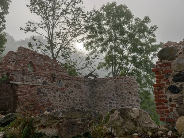 old house ruins, fog landscape, lake shore in fog, blurred landscape