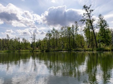 güzel göl manzarası, güzel gökyüzü, Beyaz bulutlar ile mavi gökyüzüne karşı Sakin göl yansıması, Valdis gölü, Turna, Letonya