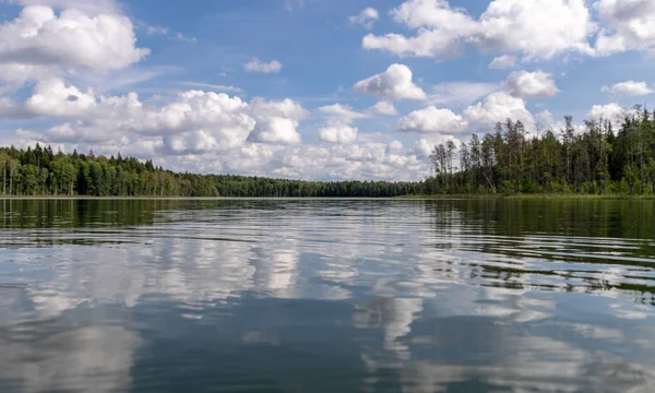 Wonderful scenery with a lake on a sunny summer day, tree silhouettes, blue skies with clouds reflected in calm water. Valdis Lake, Turna, Latvia.