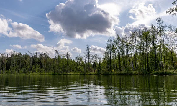 Wonderful scenery with a lake on a sunny summer day, tree silhouettes, blue skies with clouds reflected in calm water. Valdis Lake, Turna, Latvia.