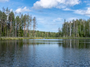 güzel göl manzarası, güzel gökyüzü, Beyaz bulutlar ile mavi gökyüzüne karşı Sakin göl yansıması, Valdis gölü, Turna, Letonya