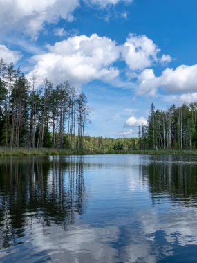 güzel göl manzarası, güzel gökyüzü, Beyaz bulutlar ile mavi gökyüzüne karşı Sakin göl yansıması, Valdis gölü, Turna, Letonya