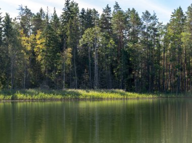 Güneşli bir yaz gününde bir göl ile harika bir manzara, ağaç siluetleri, bulutlar ile mavi gökyüzü sakin suya yansıyan. Valdis Gölü, Turna, Letonya.