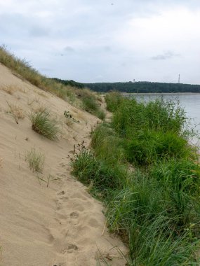 deniz ve kumul kıyısı ile manzara, kıyı kayma, sakin su, Curonian Spit, Nida, Litvanya. Baltık kumulları, Unesco mirası