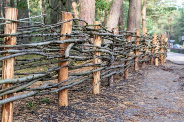 ilginç rustik hasır çit, yakın plan, güzel bir çam ormanı ile peyzaj, merkezi bir ahşap çit 