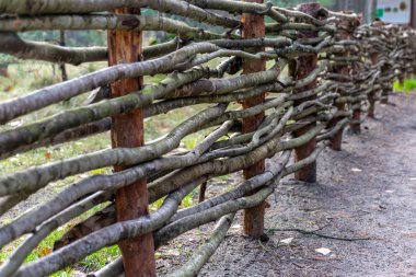 ilginç rustik hasır çit, yakın plan, güzel bir çam ormanı ile peyzaj, merkezi bir ahşap çit 