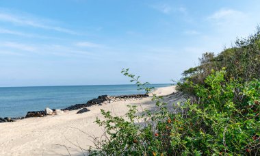 Baltık Denizi'nin kumlu plajıgörünümü. Eski araba lastikleri ve beton ile Seashore, insan atıkları, Curonian Spit, Rusya