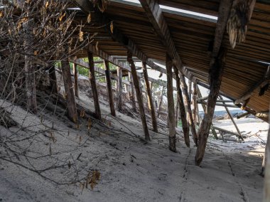terk edilmiş ahşap patikalar, kumlu plaj, Curonian Spit, Rusya görünümü