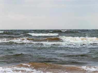  Baltık Denizi'nde kumlu bir plajda büyük kırma deniz dalgası