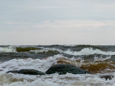 Baltık Denizi'nde kumlu bir plajda büyük kırma deniz dalgası