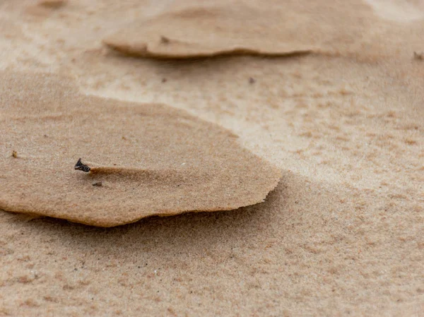 Abstract Wind Sand Formations Beach Suitable Textures Backgrounds — Stock Photo, Image