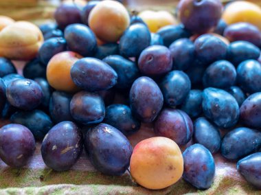 masada çeşitli boyutlarda, renklerde ve şekillerde erik