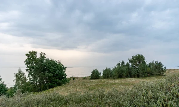 Панорамный Вид Море Вдалеке Дюны Переднем Плане — стоковое фото