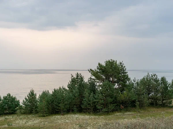 Vista Panorâmica Mar Distância Dunas Primeiro Plano — Fotografia de Stock