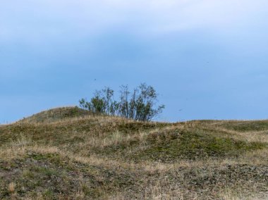 kumul görünümü, yoksul bitkiler, yağmur kumul önce koyu mavi gökyüzü