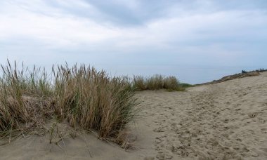 kumul görünümü, yoksul bitkiler, yağmur kumul önce koyu mavi gökyüzü