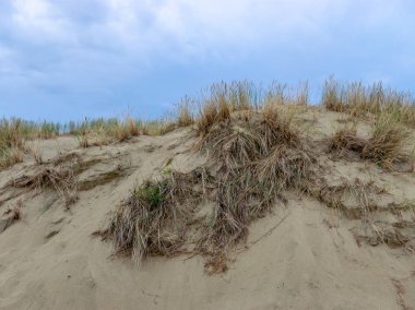 kumul görünümü, yoksul bitkiler, yağmur kumul önce koyu mavi gökyüzü
