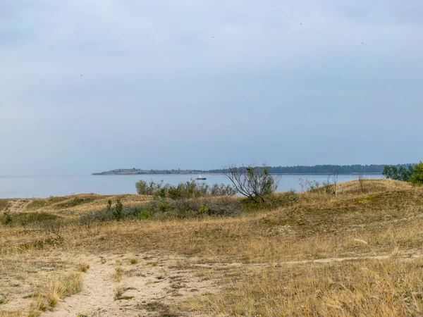 Vue Sur Dune Sable Plantes Pauvres Ciel Bleu Foncé Avant — Photo