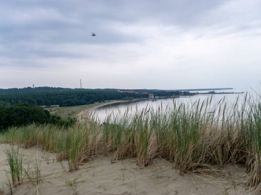 ahşap bahçe, kumul görünümü, fakir bitkiler, curonian tükürük, nida, litvanya